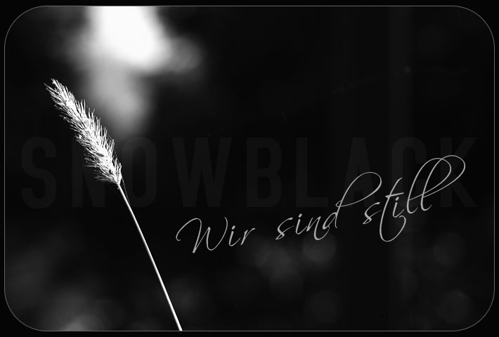 snowblack fantastillion - wir sind still!
